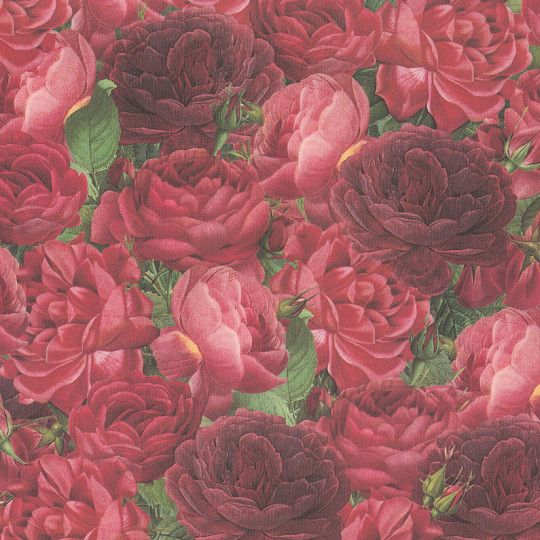 Red Cabbage Roses Italian Paper ~ Tassotti